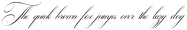 Newzerland Italic ttf (400)