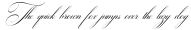 Newzerland-Italic otf (400)