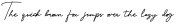 Singakur otf (400)