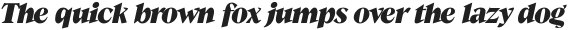 Guau Bold Italic otf (700)