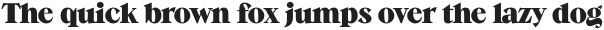 Guau Bold otf (700)