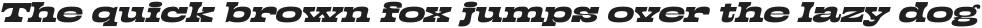 Lapoya Text Reg Exp Slant otf (400)