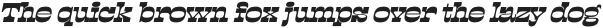 Lapoya Text Light Slant otf (300)