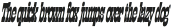 Lapoya Text Reg Cond Slant otf (400)