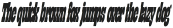 Lapoya Text Bold Cond Slant otf (700)