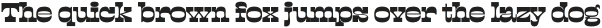 Lapoya Text Light otf (300)