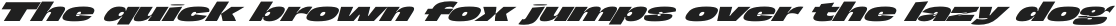 Zenit Expanded Slanted otf (400)