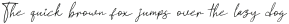 Dmitriev Petroviel Italic otf (400)