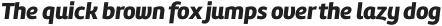 Amelia Black Italic otf (900)