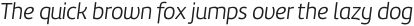 Amelia Light Italic otf (300)