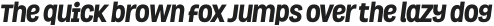 Grota ExtraBold Italic otf (700)