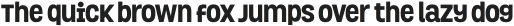 Grota ExtraBold otf (700)