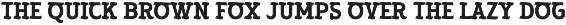 Landrose – Caligraphic Display Serif preview