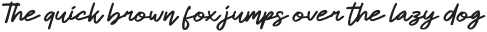Dhel Fyn Italic otf (400)