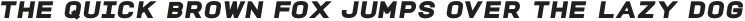 TROS Black Italic otf (900)