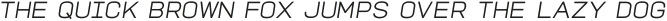 TROS Light Italic otf (300)