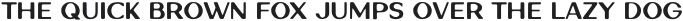 Wawona Regular otf (400)