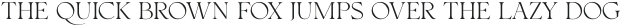 Intenso Serif otf (400)