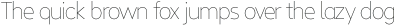 Linear Beta Thin otf (100)