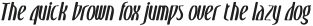DallenBlur-Italic otf (400)