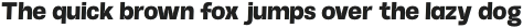 Morton Typeface Bold otf (700)