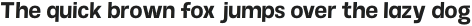 Morton Typeface SemiBold otf (600)