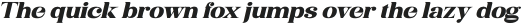 Niecher Expanded Italic otf (400)