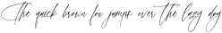 Roberthone Signatera otf (400)