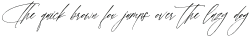Roberthone Signatera Italic otf (400)