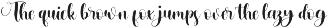 Momentum Healing preview