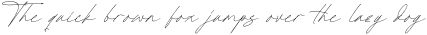 Radionte Heritage Italic otf (400)