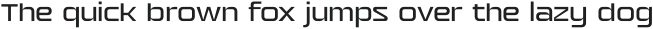 Roxa Sans Light otf (300)