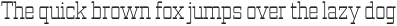 Vegelinu Thin otf (100)
