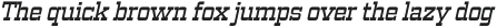 Vegelinu Medium Italic otf (500)
