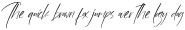 Alexander Knighteras Italic otf (400)