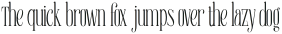 Euromunche Regular otf (400)