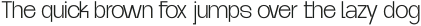 Paketa Light otf (300)
