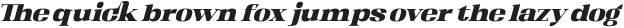 Kartikana Serif Black Italic otf (900)