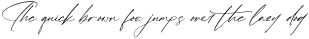 Infinites Flame Italic otf (400)