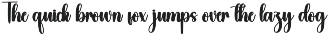 Beauty | Script Font preview