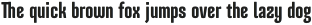 COLUMN SANS Bold otf (700)