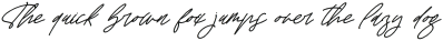 Travelast Wander Italic otf (400)