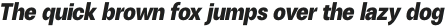 ZT Talk Heavy Italic otf (800)