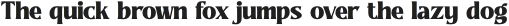 Readom Builder otf (400)