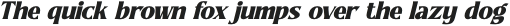 Readom Builder Italic otf (400)