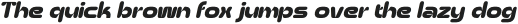 AldercyRounded-Italic otf (400)