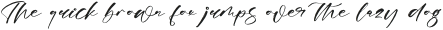 Magnotus Bractea otf (400)