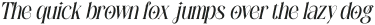 Ezanity Rough Italic otf (400)