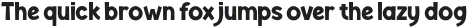 LUNARLIGHT-Regular otf (300)