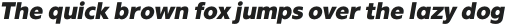The Chef Black Italic otf (900)